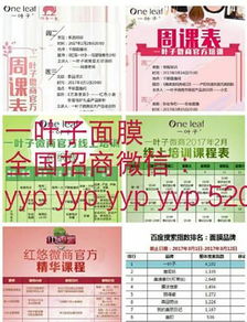 一葉子面膜代理全攻略 手把手教你輕松開(kāi)啟致富之路